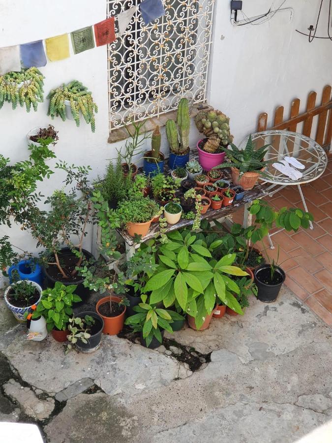 Casa Vera เวเฮร์ เด ลา ฟรอนเตรา ภายนอก รูปภาพ